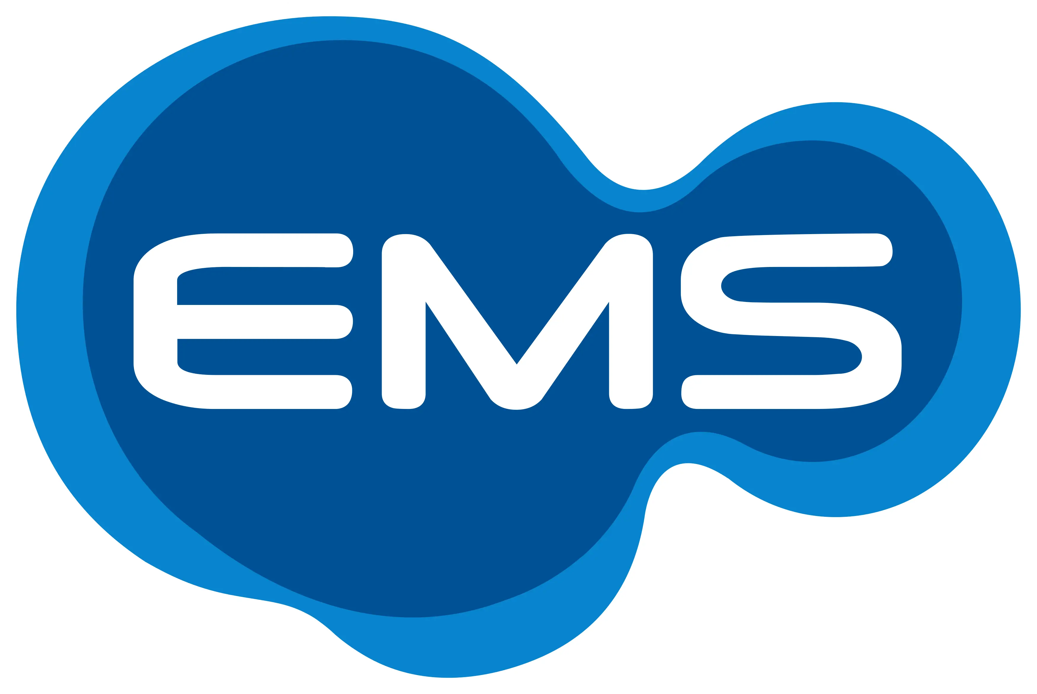 EMS Medex Logo